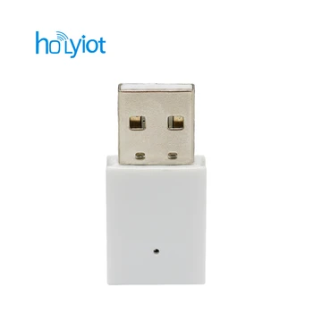 FCC CE Holyiot bluetooth с поддержкой программируемого USB-ключа DFU
