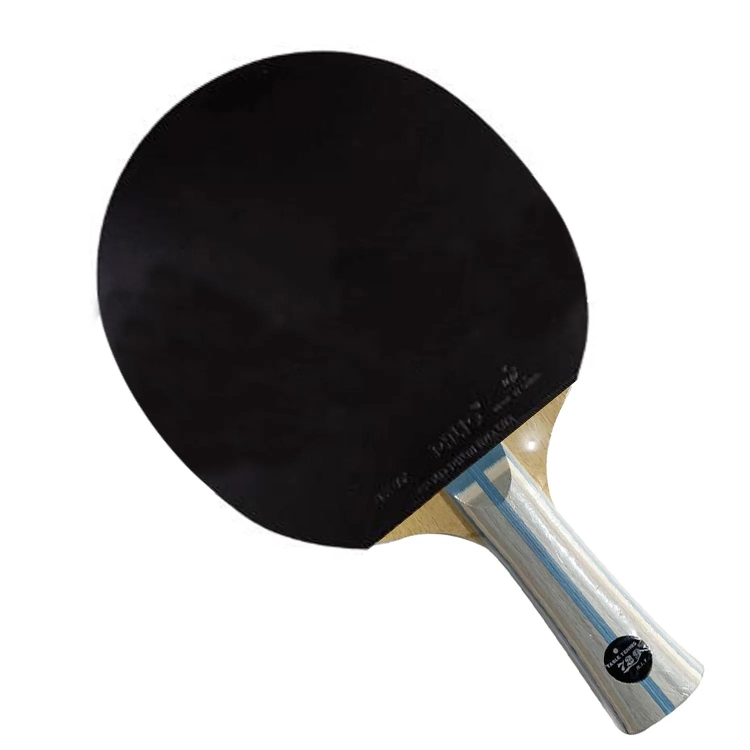 Профессиональная Комбинированная Ракетка для настольного тенниса Ping Pong Paddle ALL ++ RITC 729 Friendship C-3 Blade с 2-мя СИНИМИ матовыми каучуками Palio AK47